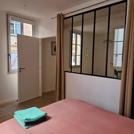 Apartamento Chal1 37m2 A 200 M Du Capitole *