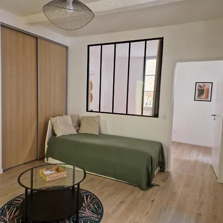 Chal1 37m2 A 200 M Du Capitole *